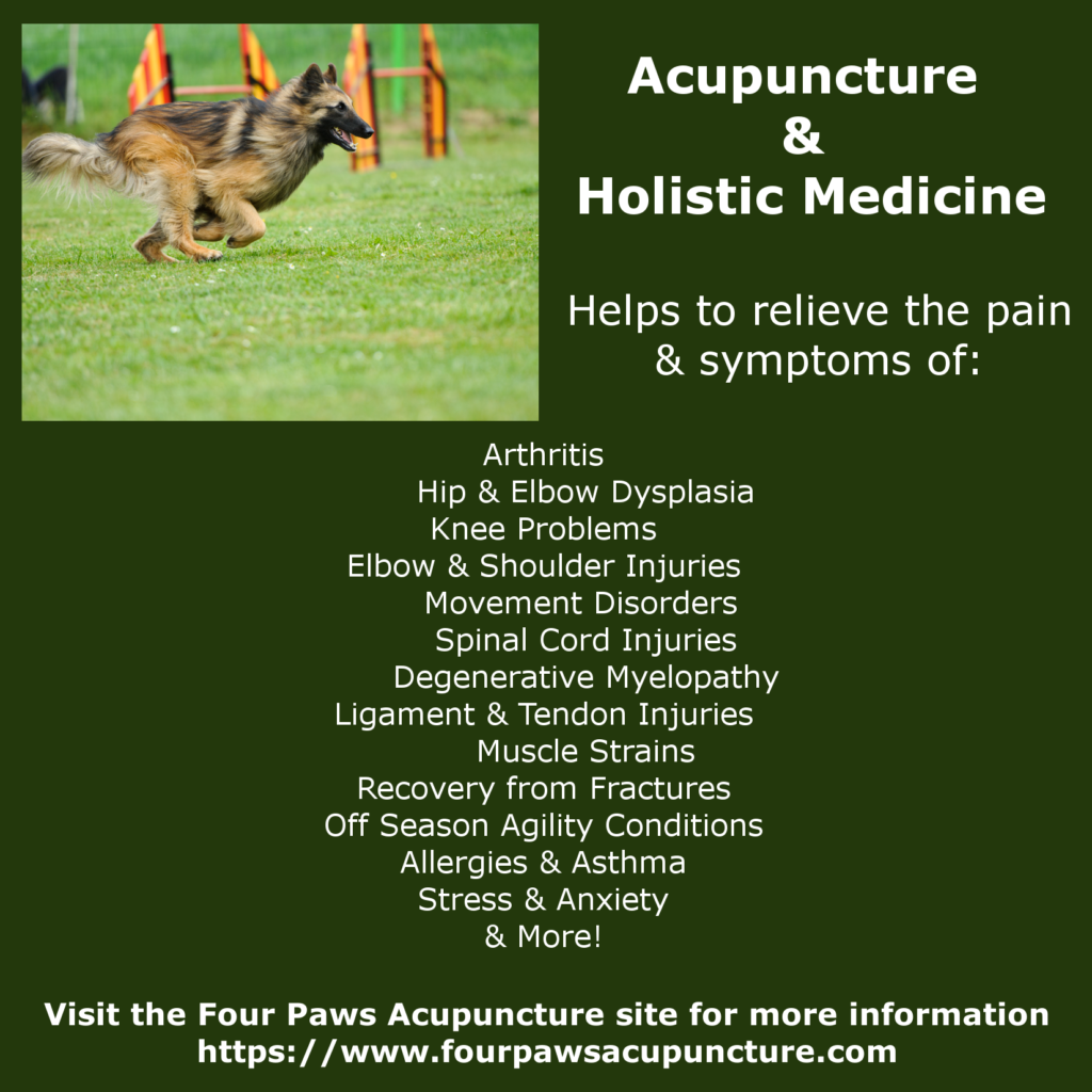 List of conditions that pet acupuncture can help address