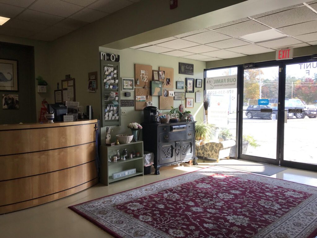 Waiting area with comfortable seating