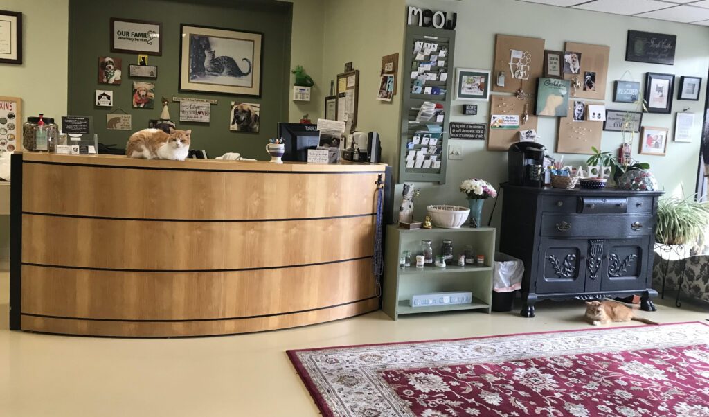 The bright reception lobby at Our Family Veterinary Services